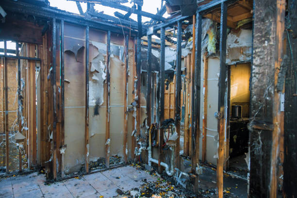 Professional Fire Damage Removal technician working in Ceresco, NE